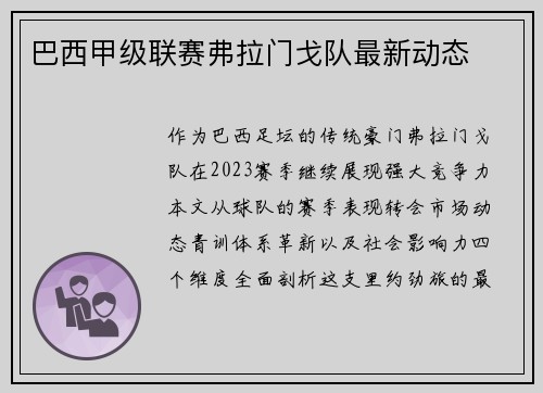 巴西甲级联赛弗拉门戈队最新动态