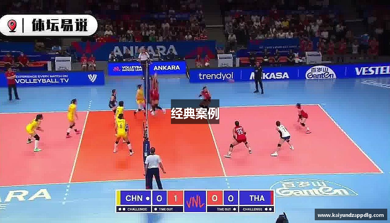 经典案例